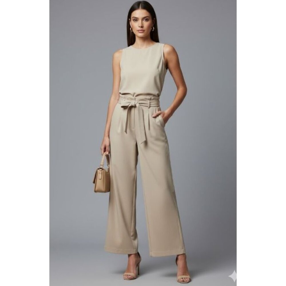 Halogen Women's Beige Pleated Front High Waisted Wide Leg Trouser Size 0 - Picture 1 of 11